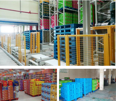 新料塑料托盤和回收料塑料托盤 新料塑料托盤和回收料塑料托盤