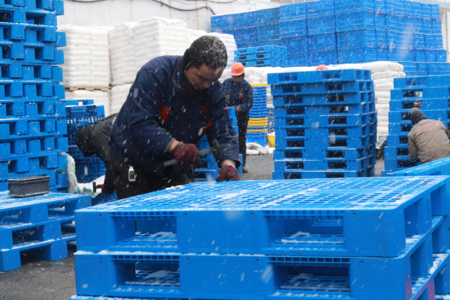 打鐵必須自身硬，質量好的塑料托盤有什么要求？