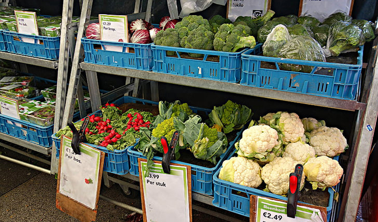 水果塑料周轉(zhuǎn)箱筐批發(fā)，快到筐里來！