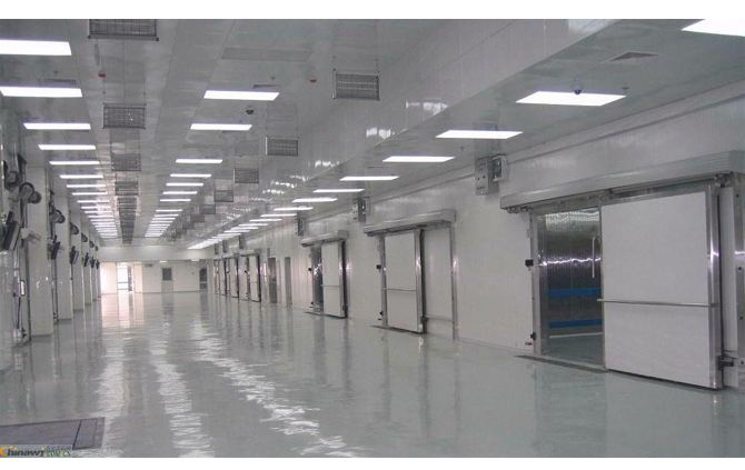 這款塑料托盤打入“冷宮”，也能混的如魚得水？