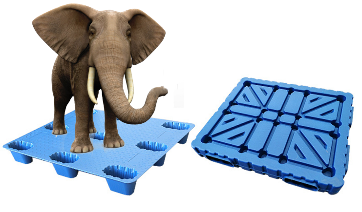 吹塑托盤價格是多少？日常使用要注意這些細節