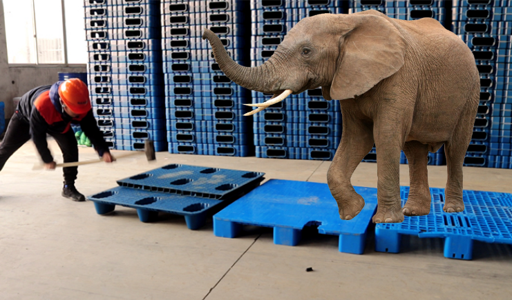 塑料托盤廠家如何定期抽查托盤？詳細抽查流程