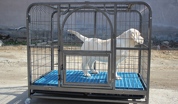 養(yǎng)殖專業(yè)塑料墊板