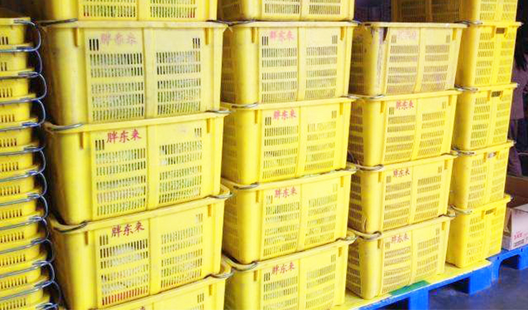 蔬菜保鮮冷庫有什么特點？適合使用什么規格的塑料托盤？