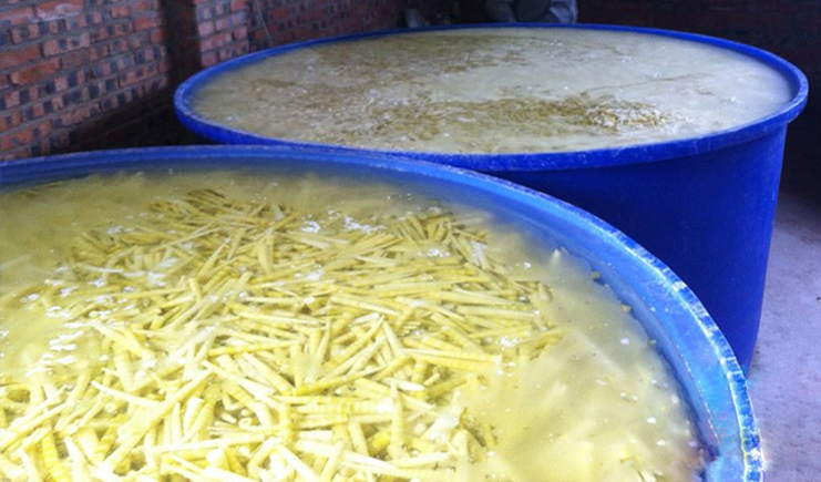 塑料桶能腌咸菜嗎?冬筍怎么腌制你知道嗎?