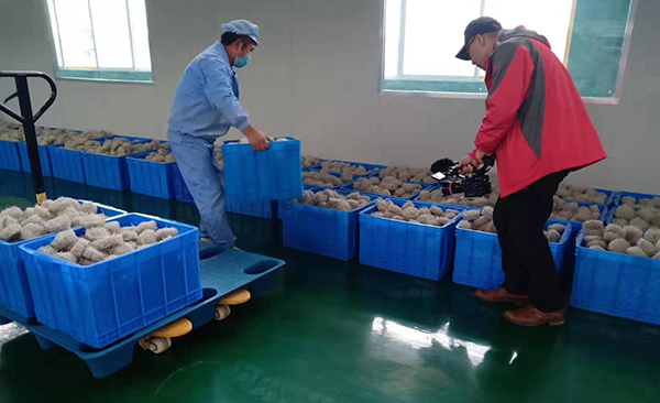 周轉箱、塑料筐弄臟了,如何消毒清潔?3個妙招學會不用愁