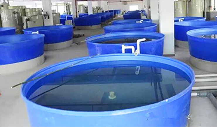 選擇食品腌制圓桶、化工塑料桶的6個小技巧!看看專家的經驗之談吧!