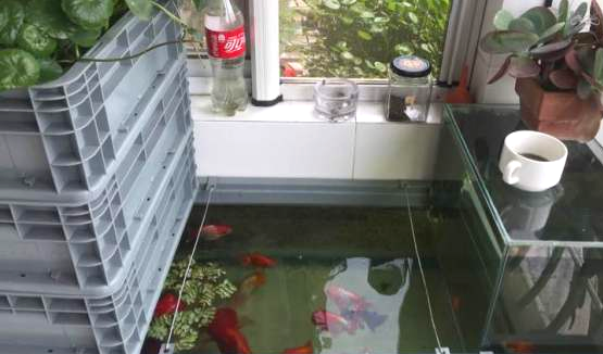 周轉箱過濾效果怎么樣?