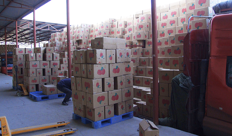 備戰雙十一!各大經銷商你的倉庫塑料托盤準備好了嗎?