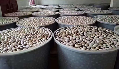 塑料桶能腌咸雞蛋嗎？看看工廠老師傅的經驗之談！