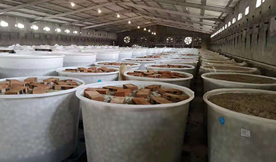 塑料桶能腌咸鴨蛋嗎？