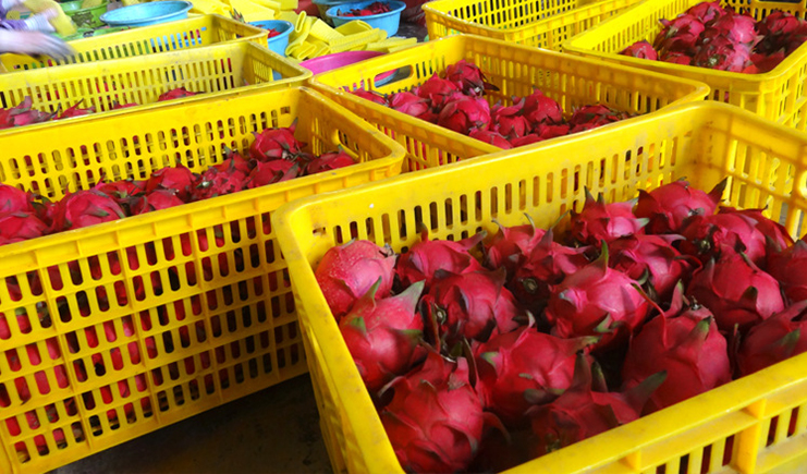 塑料筐尺寸型號表圖片大全,周轉筐3大行業(yè)優(yōu)勢分析