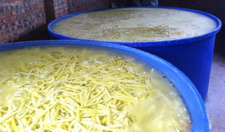 哪種塑料桶可以腌酸菜?