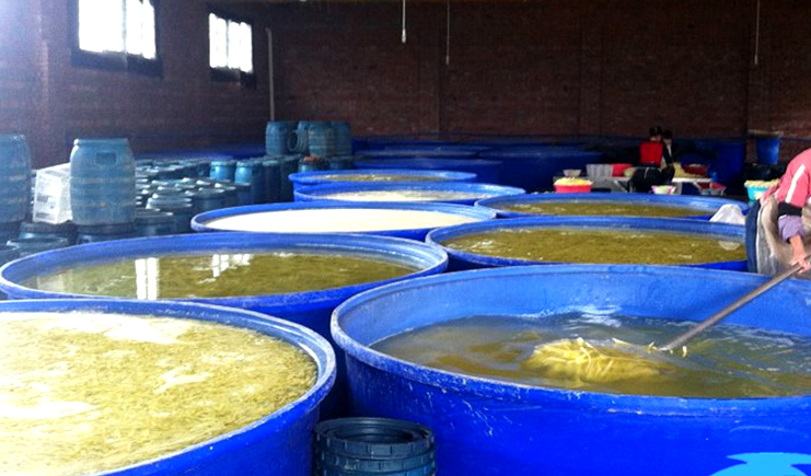 腌菜桶怎樣去味?食品加工行業的經驗之談