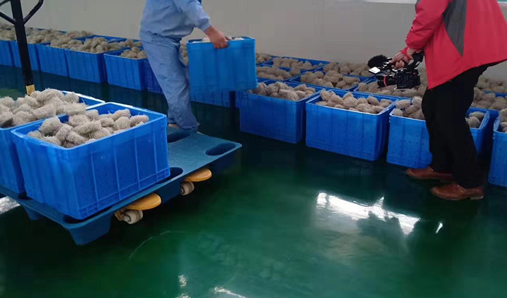 2025年塑料包裝選購指南:從托盤到周轉箱的避坑攻略