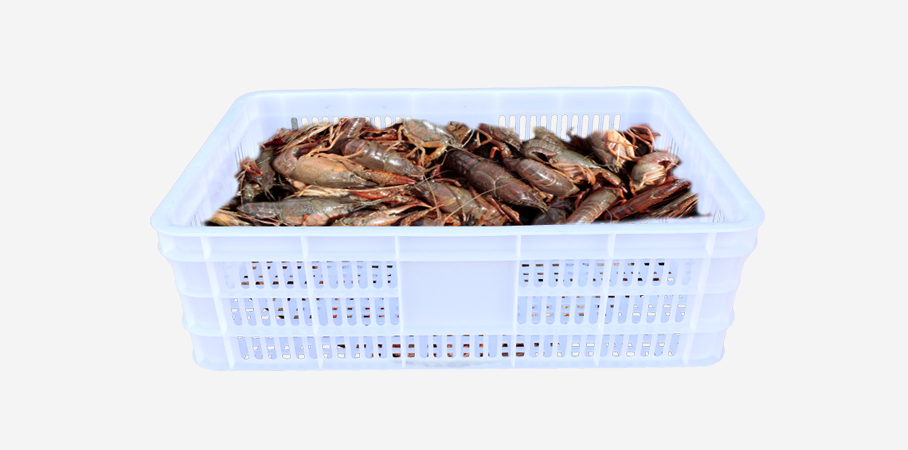 JSL-龍蝦筐 JSL-龍蝦筐