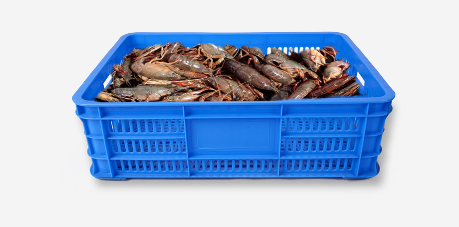 JSL-龍蝦筐 JSL-龍蝦筐