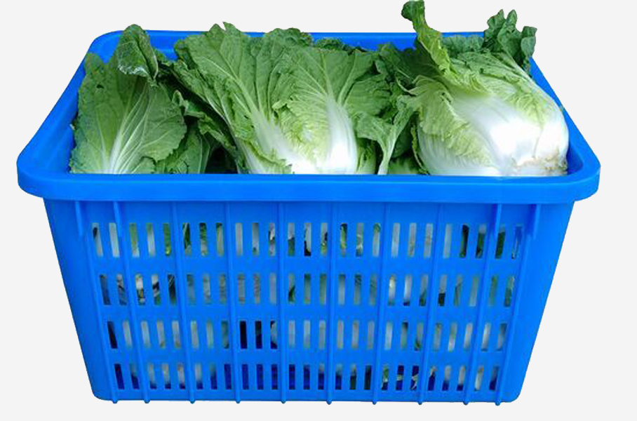 JSL-2號籮 JSL-2號籮