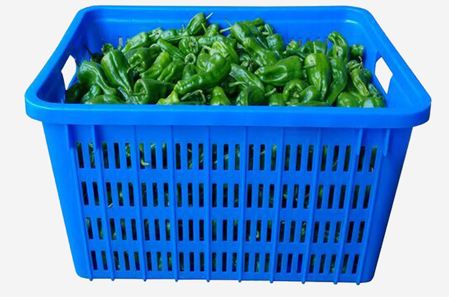 JSL-2號籮 JSL-2號籮